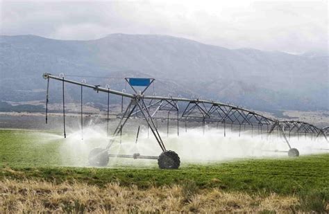 Introducing Dry Farming: A Sustainable Solution for Water Scarcity