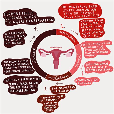 Investigating the Factors Influencing the Onset of Menstruation at an Early Age in Girls