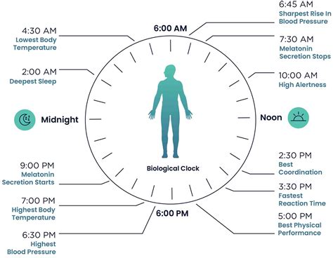 Investigating the Influence of Lighting on Mood and Well-being