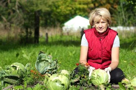 Investigating the Relationship between Dreams Involving Abundance of Cabbage and Personal Growth