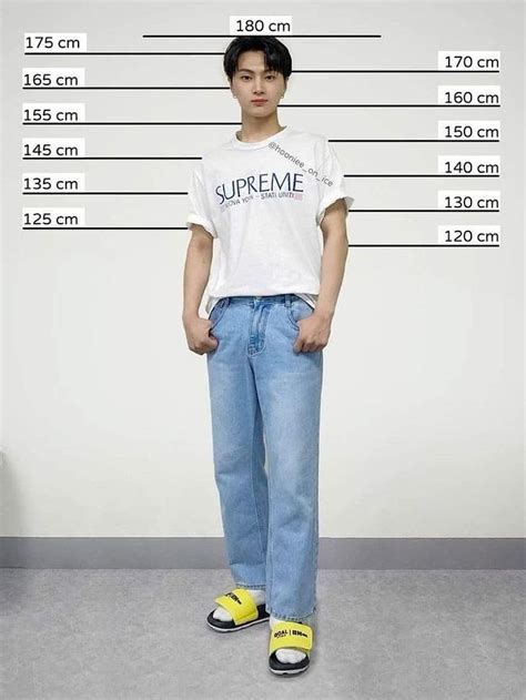 Jay Jay's Measurements and Figure Details