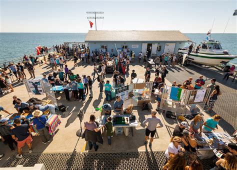 Journey Within: Exploring the Depths of the Pier Experience