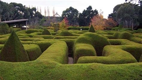 Journeying through the Enigmatic Maze: Exploring the Hidden Significance