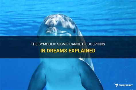 Journeying through the Symbolic Meaning of a Dolphin's Dream