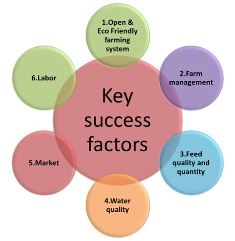 Key Factors to Her Success