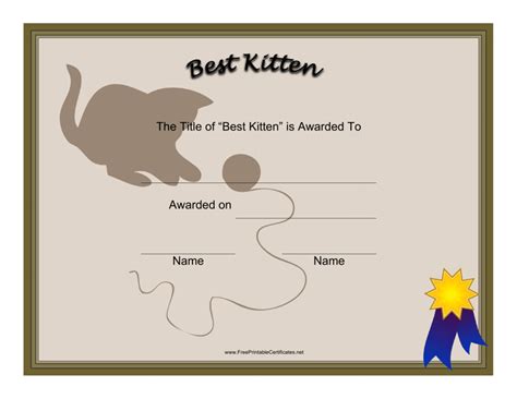 Kitten Nymph's Achievements and Awards