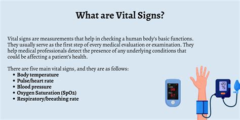 Ko Ko Height and Figure: Vital Statistics