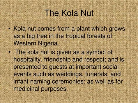 Kola Nut as a Symbol of Warmth and Togetherness