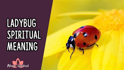 Ladybugs in Dreams: Decoding Their Significance