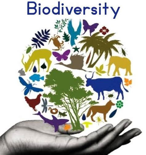 Land of Rich Biodiversity: A Brief Overview