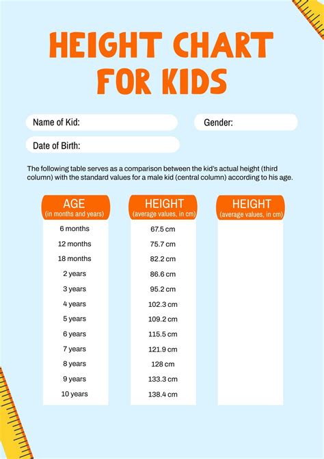 Learn about Alexa's height measurements