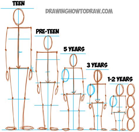 Learn the Basics: Age and Height