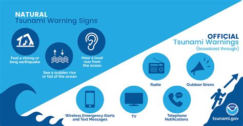 Learning from the Past: Strategies for Tsunami Preparedness and Mitigation