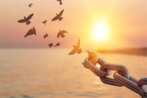 Learning to Forgive: The Power of Letting Go