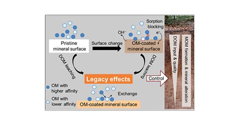 Legacy and Impact of Omega Thorn