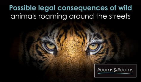 Legal Consequences: What Occurs if a Wild Animal Enters Your Residence