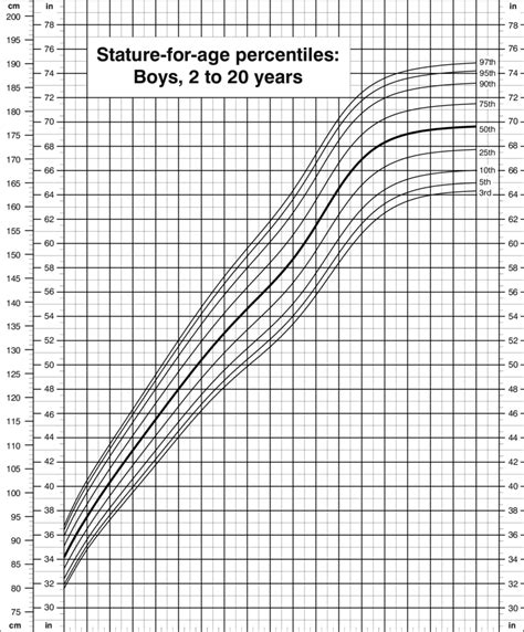 Life Details: Years, Stature, Value