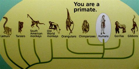 Life Origins and Heritage