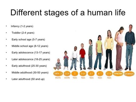 Life Stage and Personal Details of the Talented Individual