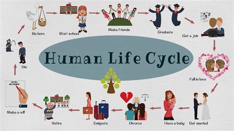 Life Stage and Personal Facts