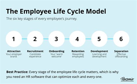 Life Stage and Professional Journey of Morgan Mcnamara