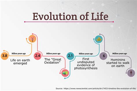 Life Story Evolution and Achievements