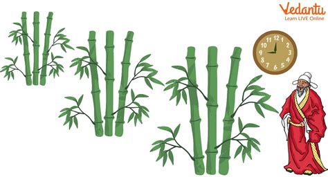 Life of Bamboo - Story, Background, Origins, Profile, Earnings