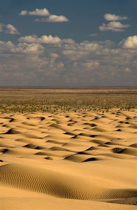 Lost in an Endless Desert: The Terrifying Nightmare of Feeling Utterly Disoriented and Without a Way to Reach Our Dwelling