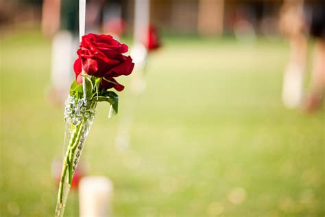 Love in the Air: The Romantic Atmosphere during the Proposal