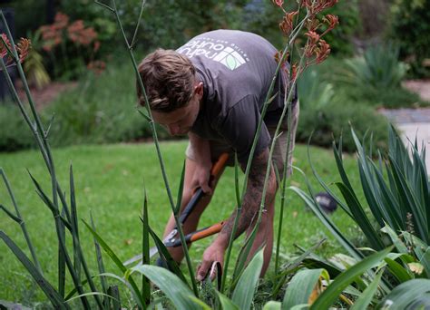 Maintaining Your Garden: Ensuring the Well-being and Growth of Your Plants