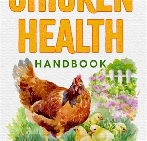 Maintaining a Healthy Flock: Overview of Common Health Issues and Essential Care