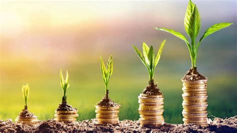 Managing and Growing Financial Assets