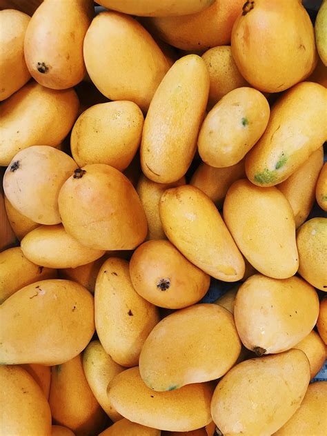 Mangoes as a Source of Inspiration and Motivation