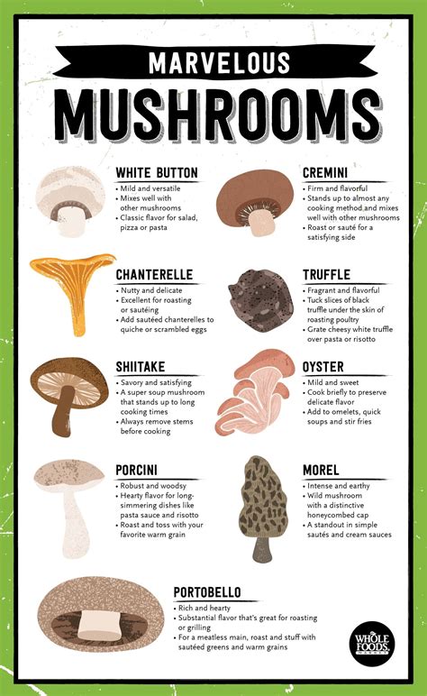 Marvelous Mushroom Varieties: A Kaleidoscope of Shapes and Colors