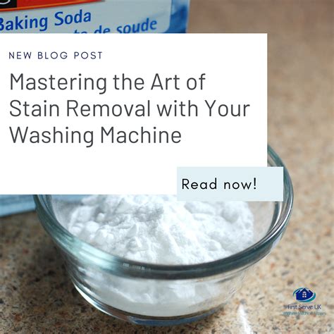 Mastering the Art of Stain Removal