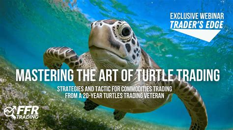 Mastering the Art of Turtle Preparation