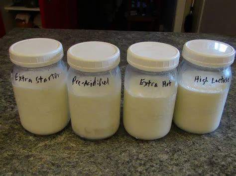 Mastering the Art of Yogurt Incubation for the Creamiest Results