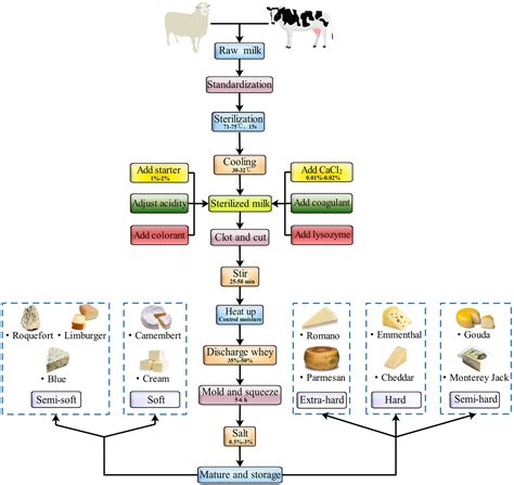 Mastering the Process of Creating Flavorsome Cheese: From Coagulation to Maturation