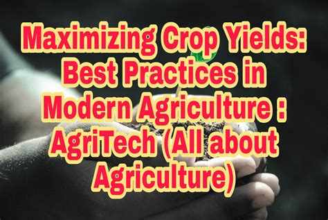 Maximizing Crop Yield: Best Practices for Vegetable Farming