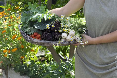 Maximizing Your Harvest: Tips for Healthy Plant Growth