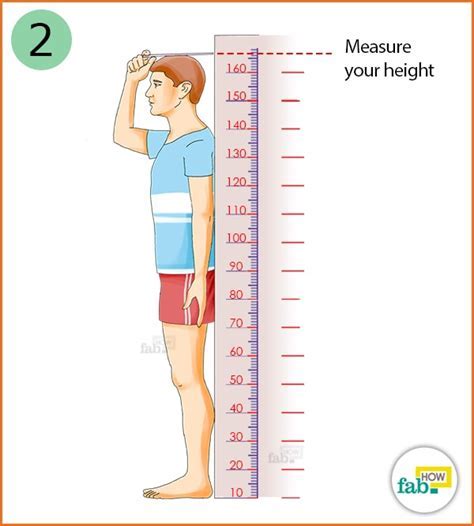 Measurement of Her Height