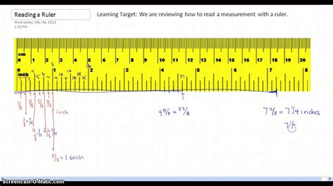 Measurements of Etsuko's Stature