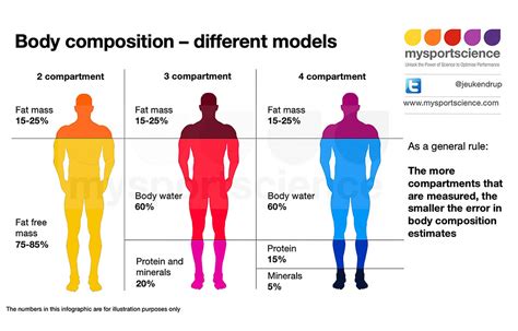 Measurements of Mandy's Body Composition