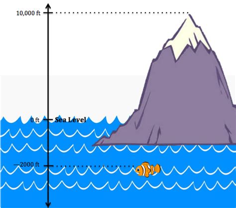 Measuring Up: Olivia's Years, Elevation, and Shape