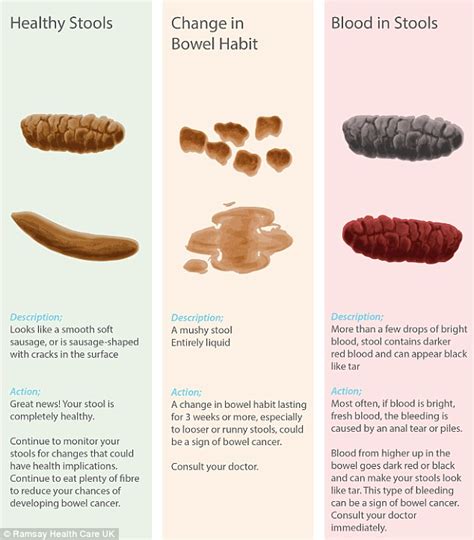 Medical Conditions That Can Result in Firm Feces