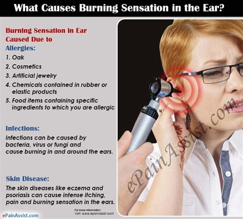 Medical Explanations for Sensations of Bugs in the Ear