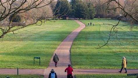 Memories of My Past Workplace: A Nostalgic Stroll Down Remembrance Lane