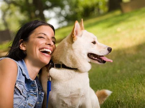 Mental and Emotional Well-being: The Impact of Having Animal Companions on our Happiness