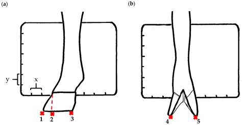 Merritt Cabal's Height and Figure Measurements