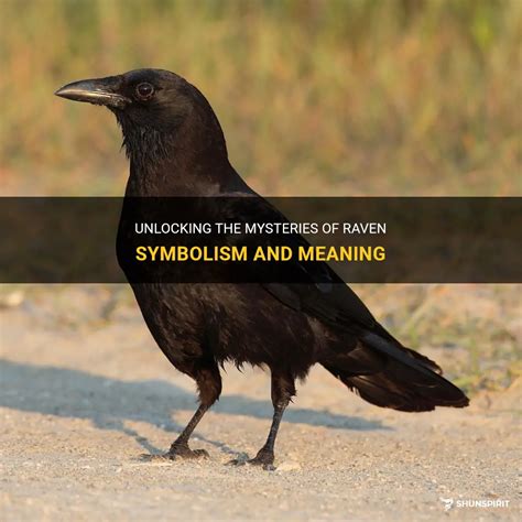 Messengers of the Raven: Unlocking the Symbolic Significance of Feathered Communications